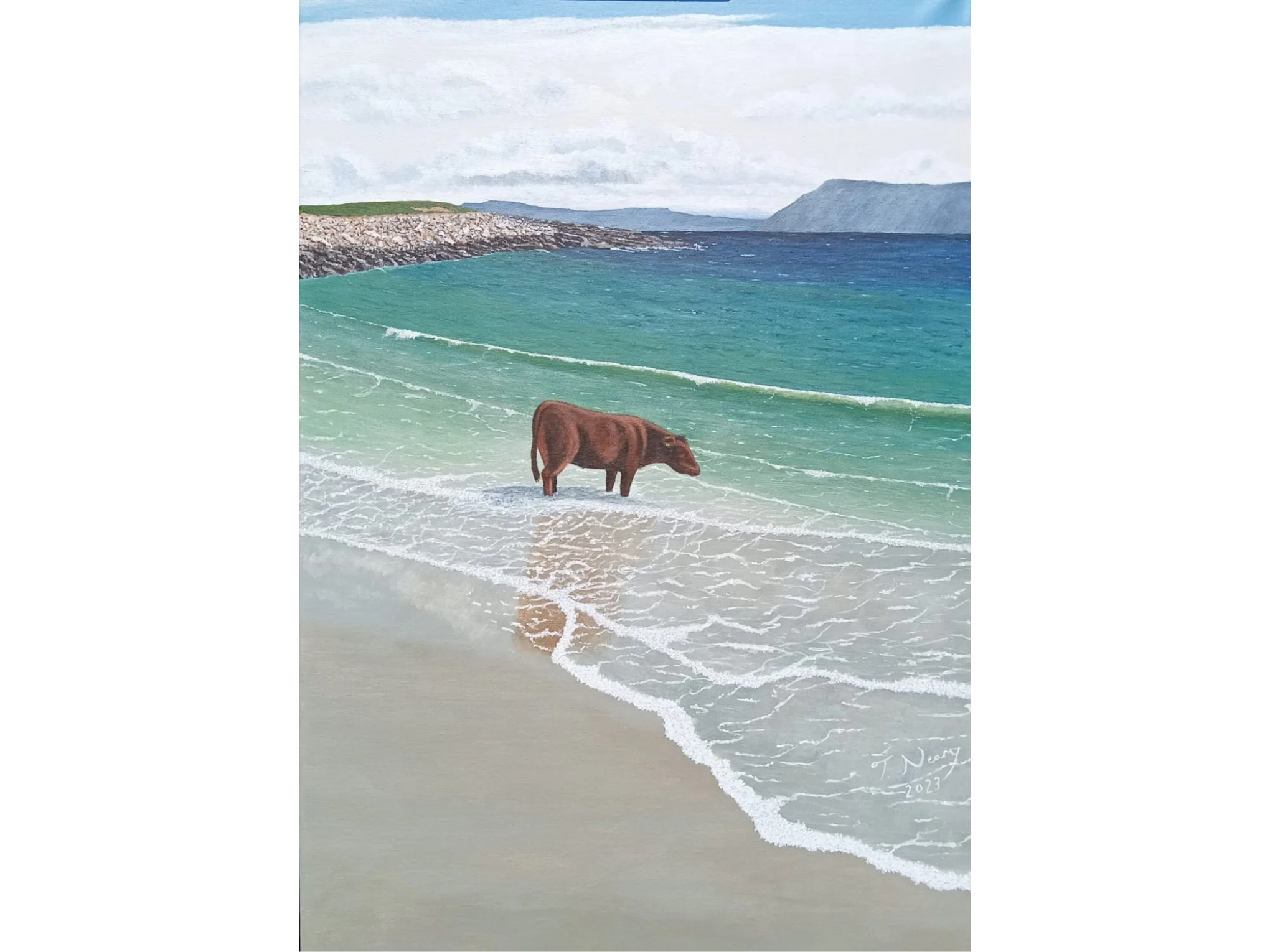 Red Cow In The Water Fallmore