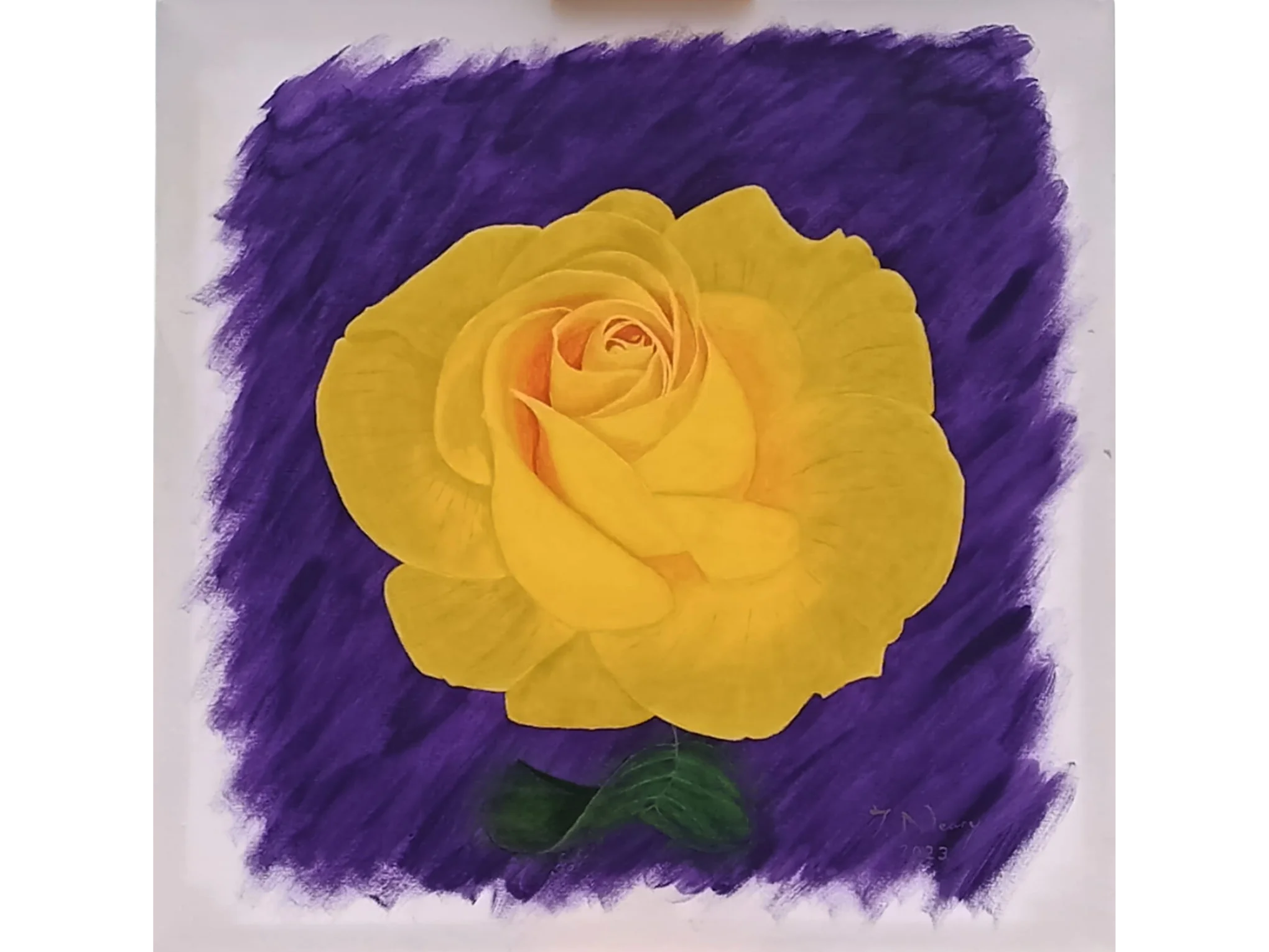 Yellow Rose